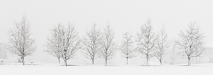 Snowstorm Panorama on Pantops Mountain, Albemarle County, VA